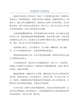 共青团员小结优选