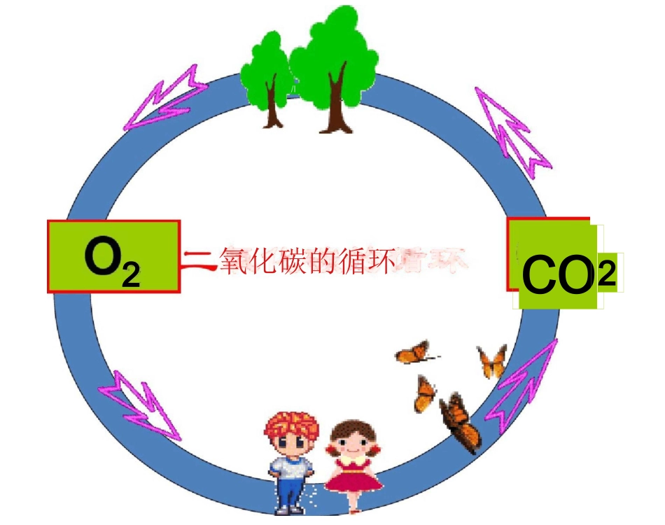二氧化碳的循环_第3页
