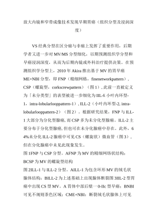 放大内镜和窄带成像技术发现早期胃癌(组织分型及浸润深度)