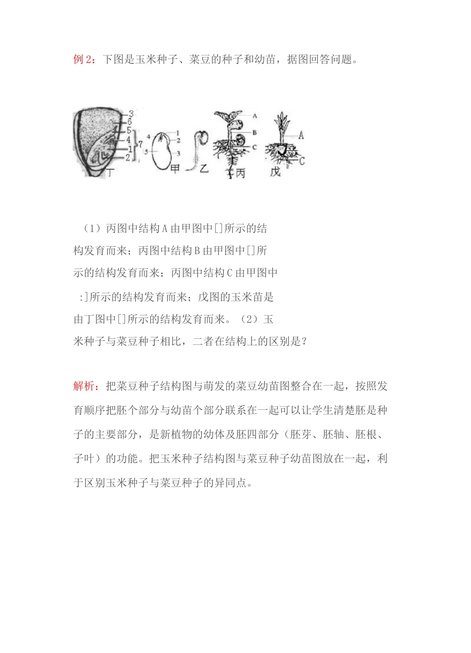 初中生物识图作答题的解题策略与技巧_第3页