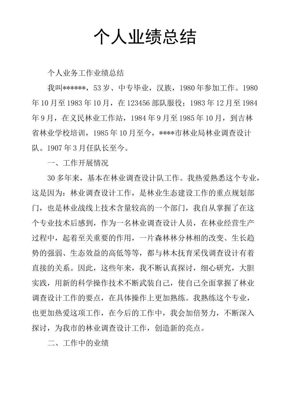 个人业绩总结_第1页