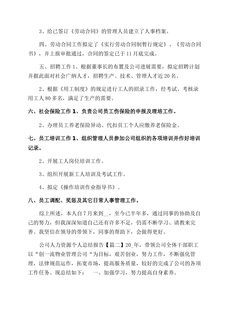 公司人力资源个人工作总结范文报告范文_第2页