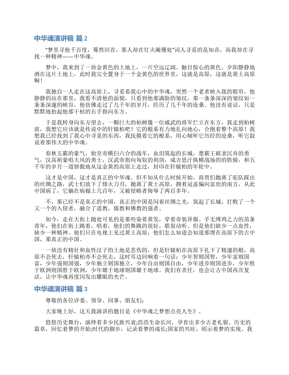 关于中华魂演讲稿模板锦集六篇_第2页
