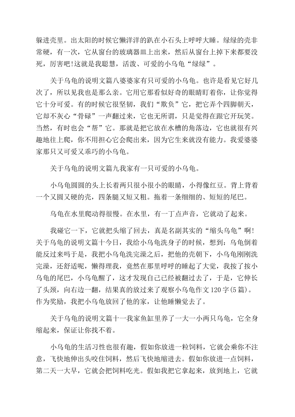 关于乌龟的说明文_第3页