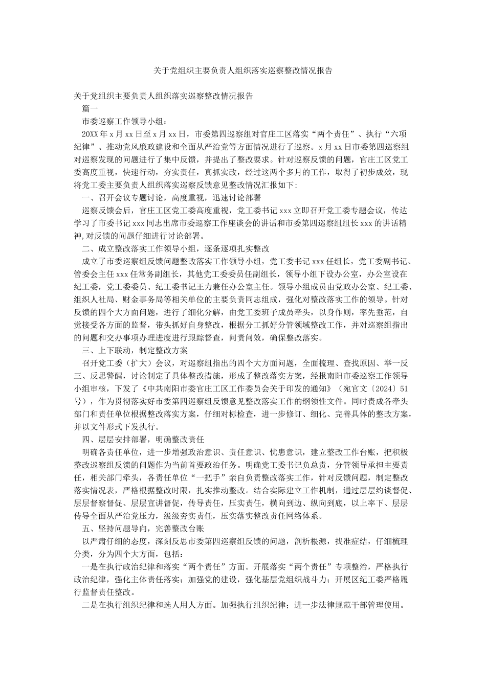 关于党组织主要负责人组织落实巡察整改情况报告_第1页