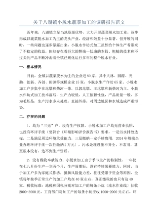关于八湖镇小脱水蔬菜加工的调研报告范文