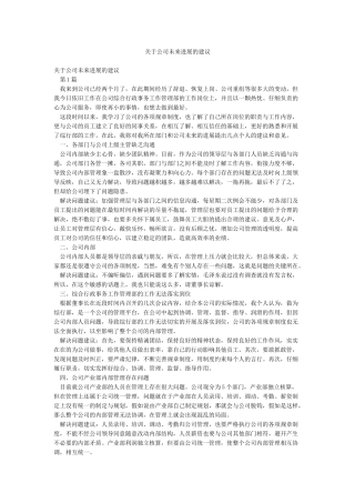 关于公司未来发展的建议