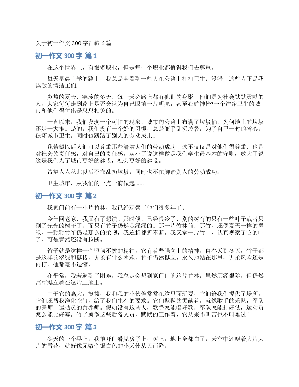 关于初一作文300字汇编6篇_第1页