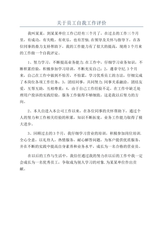 关于员工自我工作评价