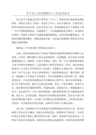 关于员工试用期转正工作总结范文