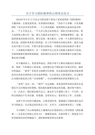 关于学习团队精神的心得体会范文