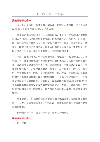 关于我的端午节心得