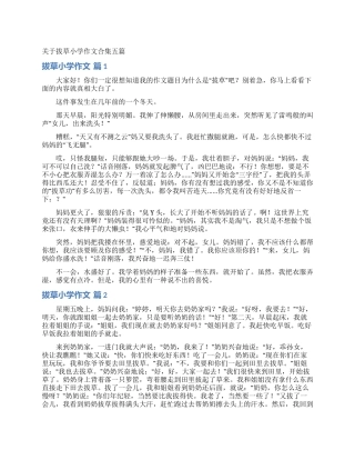 关于拔草小学作文合集五篇