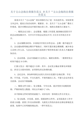 关于文山会海自查报告范文-乡关于“文山会海的自查报告范文