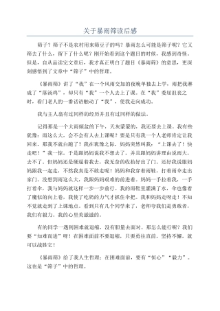关于暴雨筛读后感