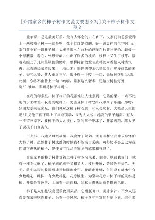 关于柿子树作文范文