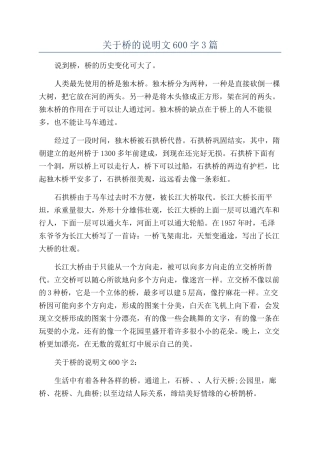 关于桥的说明文600字3篇