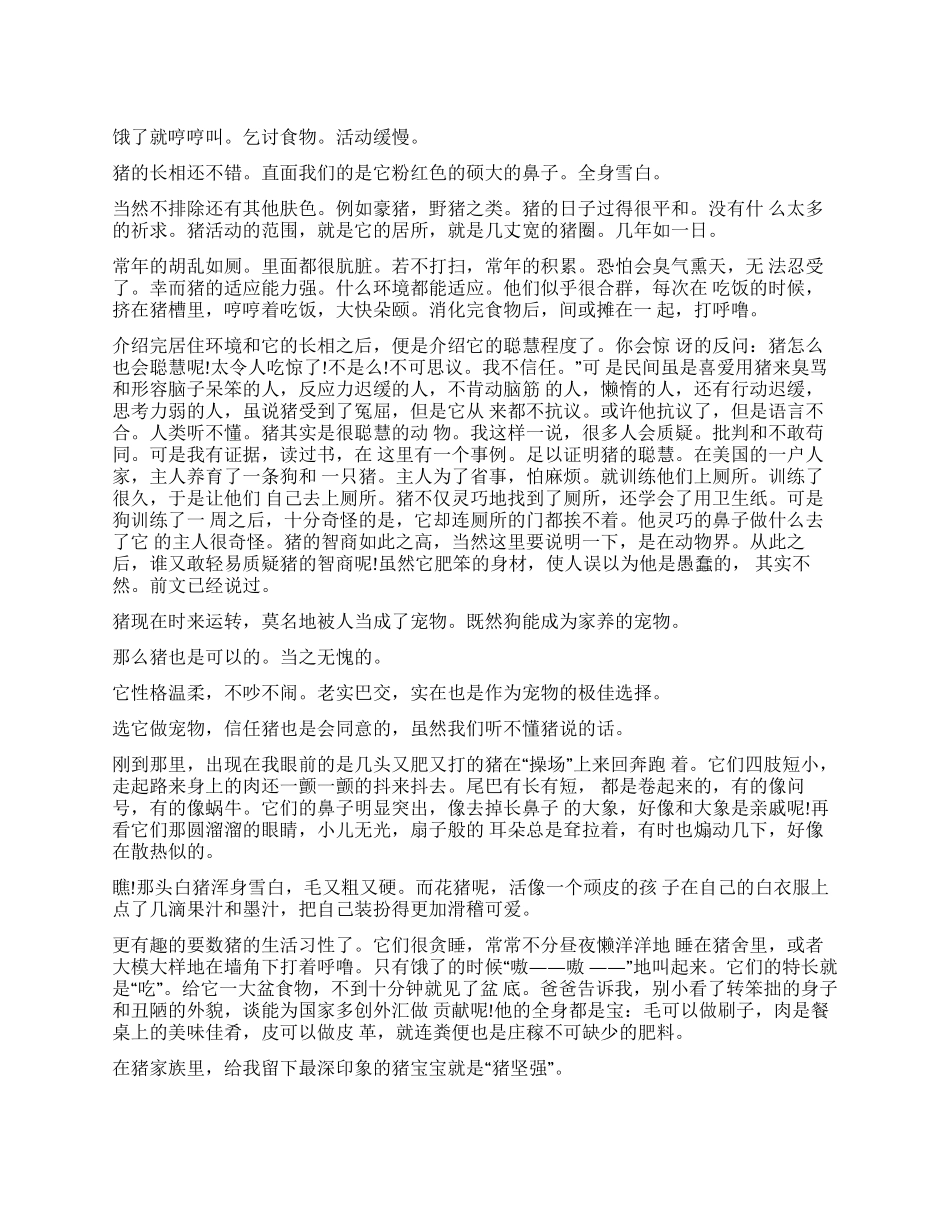 关于猪的说明文_第1页