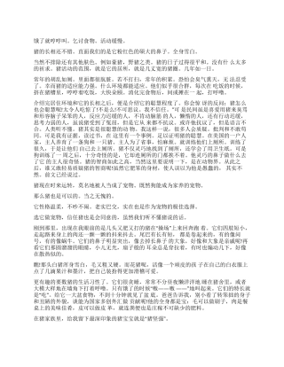 关于猪的说明文