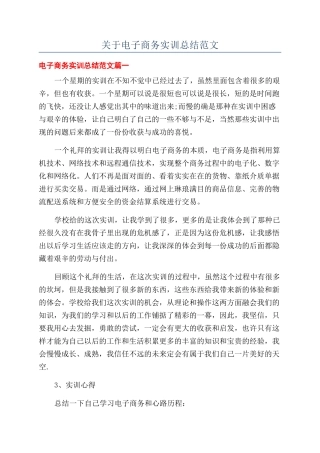 关于电子商务实训总结范文