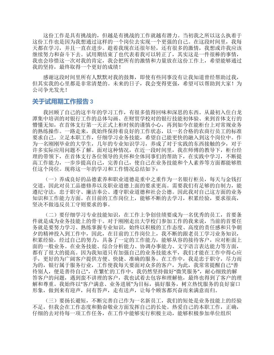 关于试用期工作报告_第2页