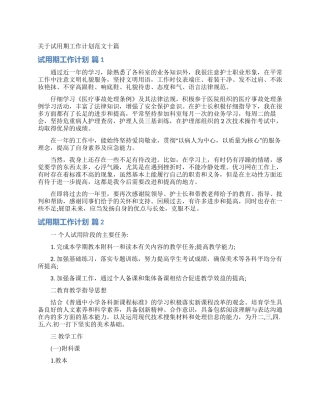 关于试用期工作计划范文十篇