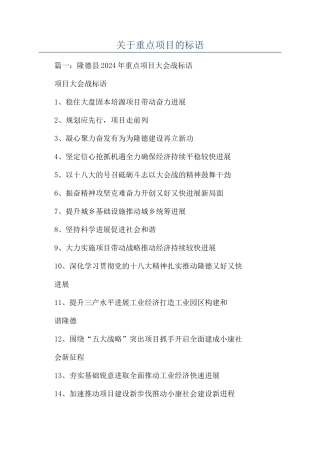 关于重点项目的标语