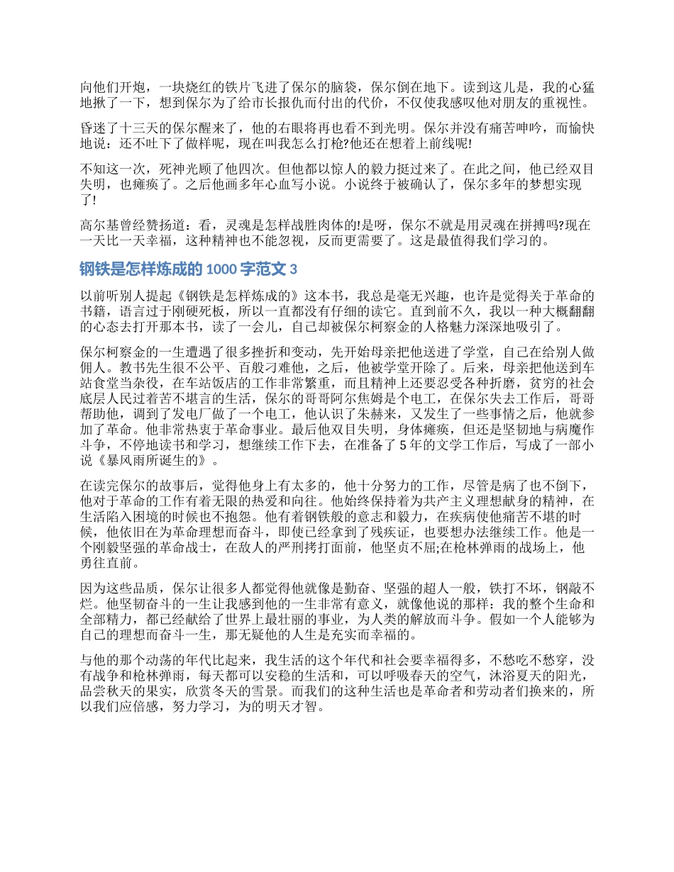 关于钢铁是怎样炼成的读后感1000字_第2页