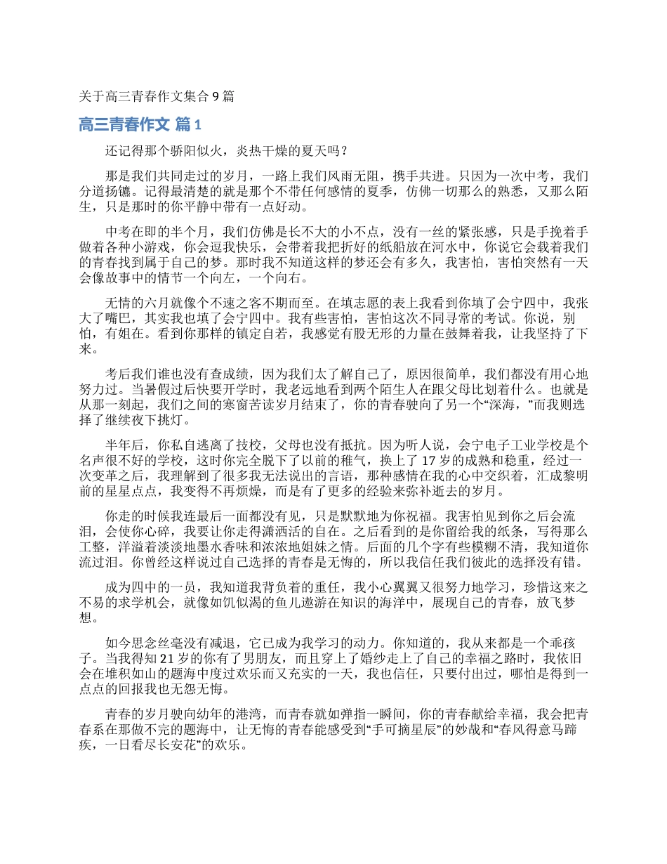 关于高三青春作文集合9篇_第1页