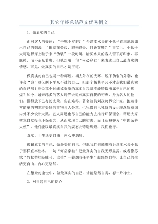 其它年终总结范文优秀例文