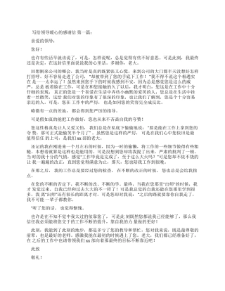 写给领导的暖心话