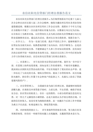 农信社阳光信贷部门经理自查报告范文