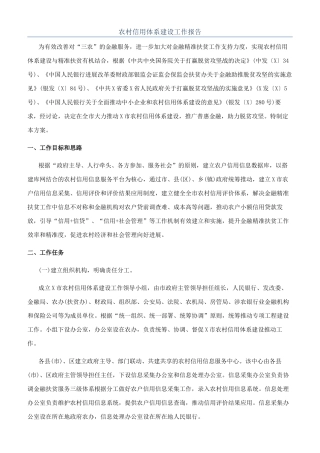 农村信用体系建设工作报告