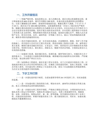 农村水利局汛期防汛工作汇报