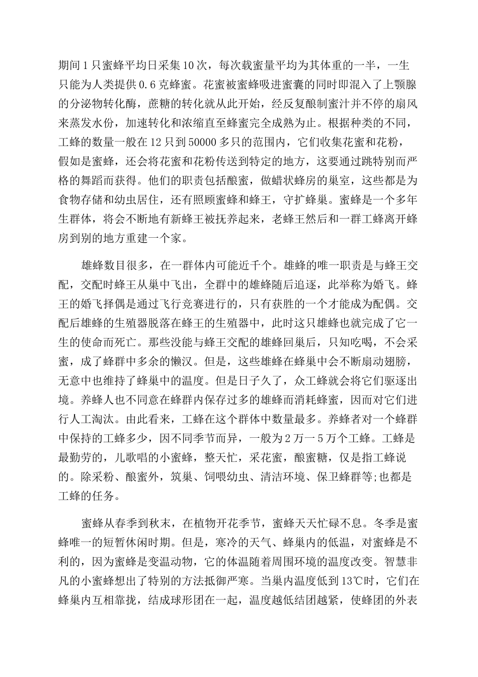 冬天如何饲养蜜蜂-冬天饲养蜜蜂的方法_第3页