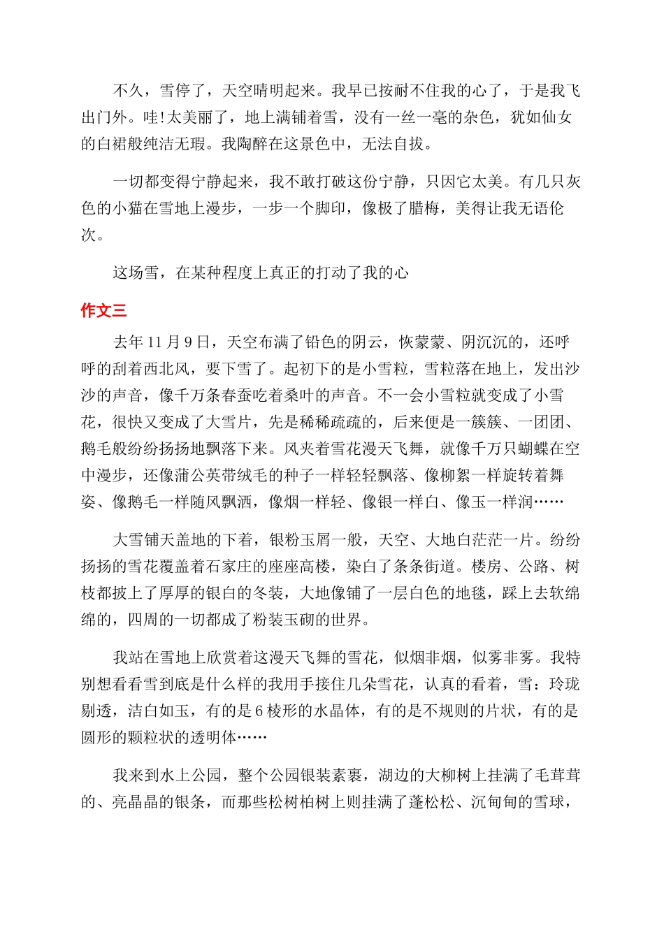 冬天雪景作文范文_第3页