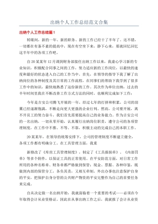出纳个人工作总结范文合集
