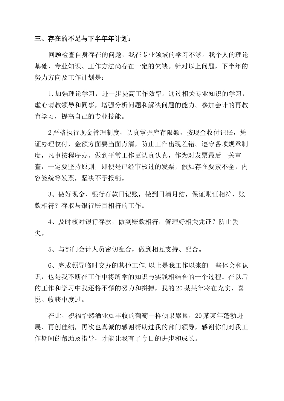 出纳上半年个人工作总结范文_第2页