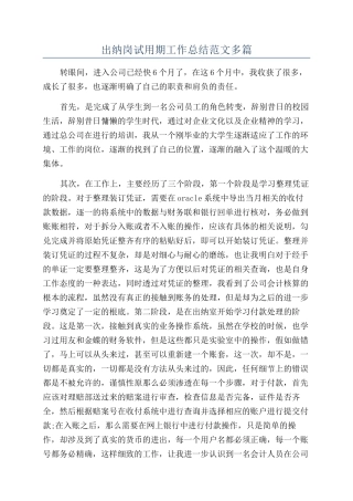 出纳岗试用期工作总结范文多篇