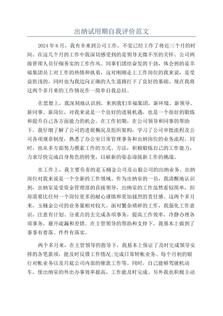 出纳试用期自我评价范文