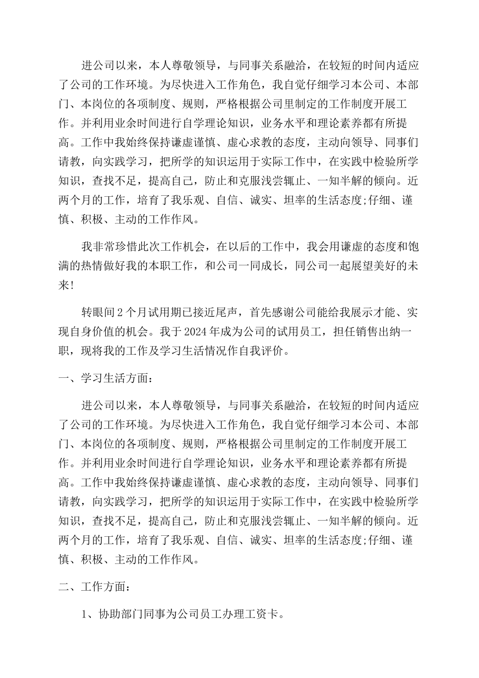 出纳试用期满的自我鉴定范文_第2页