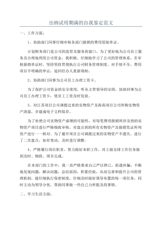 出纳试用期满的自我鉴定范文