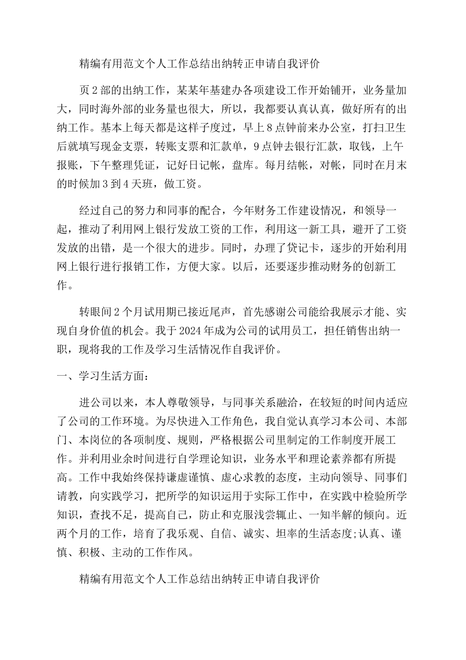 出纳转正申请自我评价范文例文万能版_第2页
