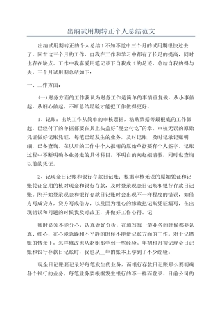 出纳试用期转正个人总结范文