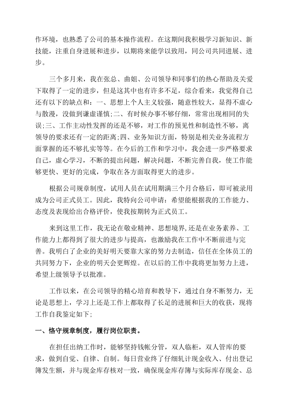 出纳转正的自我评价范文_第3页