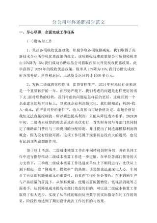 分公司年终述职报告范文