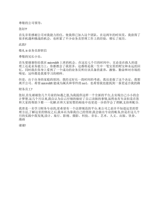 分公司辞职报告