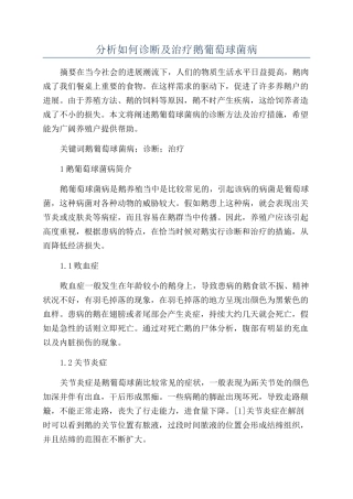 分析如何诊断及治疗鹅葡萄球菌病