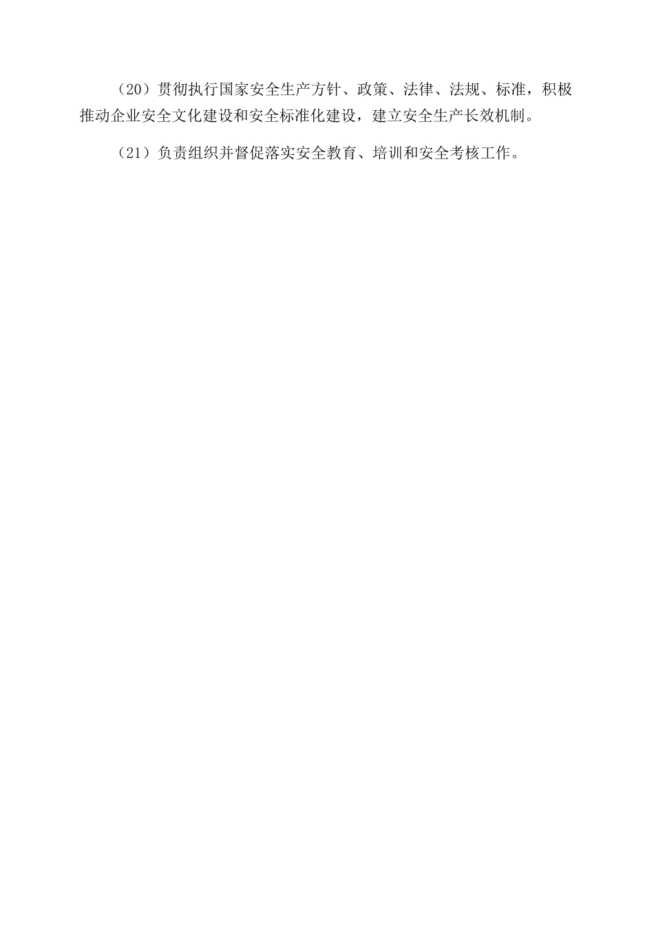 分管安全生产负责人安全生产责任制_第3页