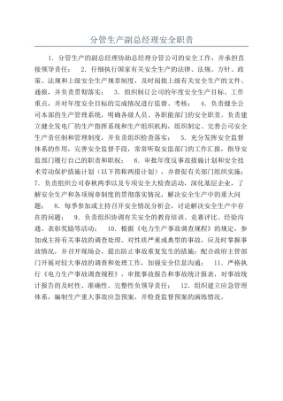 分管生产副总经理安全职责